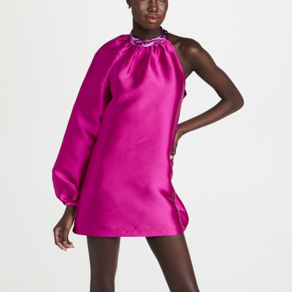 NWT Kimberly Goldson Pink Marsh Dress XS (from Shopbop)